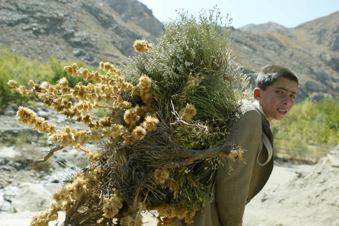 galerie das land-AFG